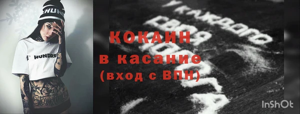 крисы Касимов