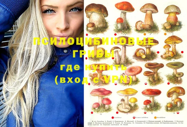 винт Карпинск