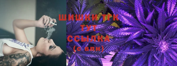 крисы Касимов