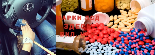 крисы Касимов
