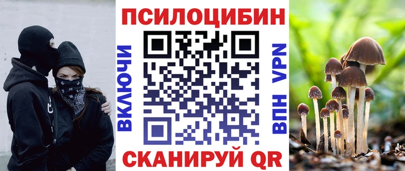 Псилоцибиновые грибы Psilocybe  Купить где  Новозыбков 
